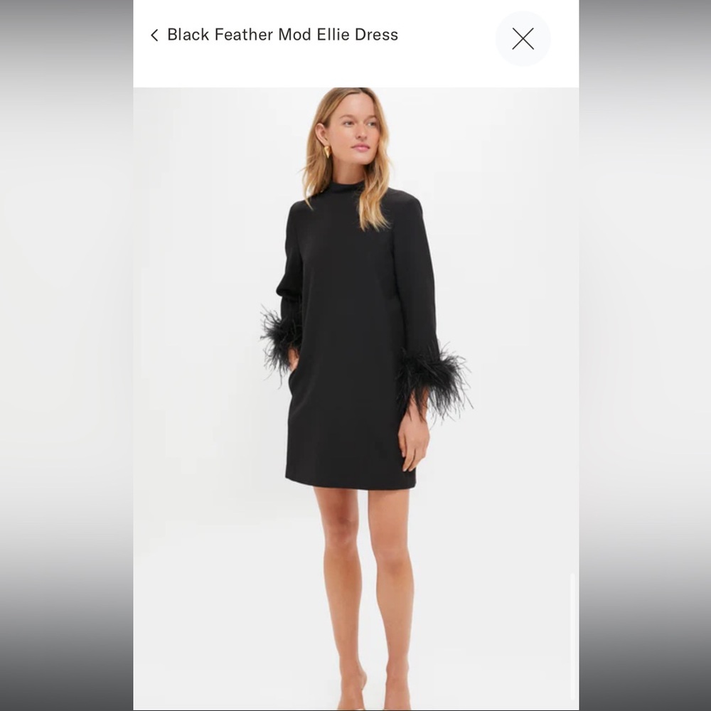 Tuckernuck Black Feather Mod Ellie Dress